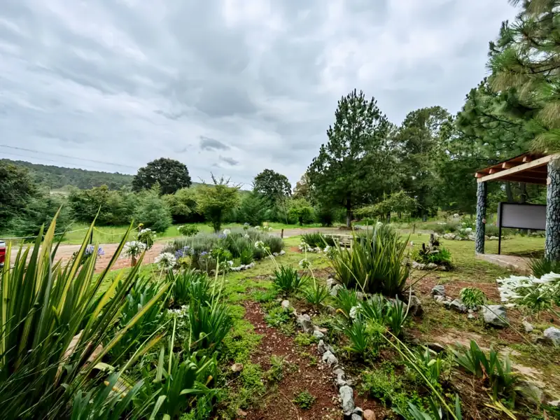 Jardín en Mezcapa