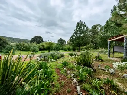 Jardín en Mezcapa